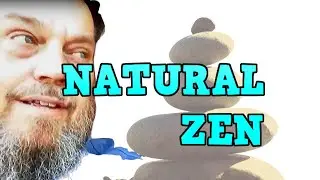 NATURAL ZEN Rock Garden Inspiration !!  FLEXI-M Pt. 2