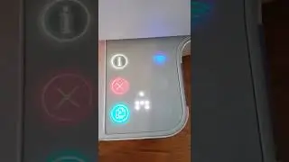 HP printer going crazy! flashing lights.
