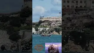 Alcatraz Seagulls Take Over Fishing Boat ;) #shorts