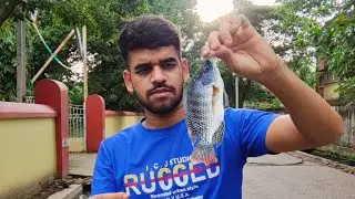 Maine Bahut Saare Tilapia Fish Pakara Aquarium Ke Lye | Fishing In The Wild