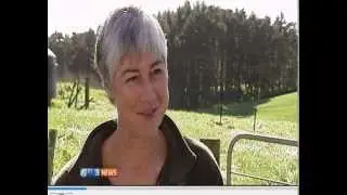 3News Fonterra Forecast