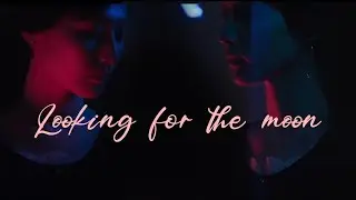 Looking for the moon