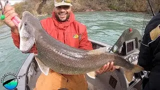 Drifting Kwikfish for GOLIATH Niagara River Trout
