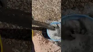 Commercial Carpet Cleaning Phoenix | Extractor in Action