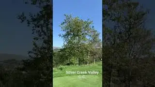 The views of Silver Creek Valley country club. San Jose, Ca. #california #golf #views