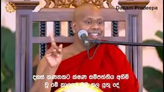 ක්ෂණ සම්පත්තිය අහිමි වීමට පෙර ඔබ කළ යුතු දේ Walimada Saddasila Thero Daham Pradeepa