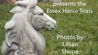 TAPinto Horses Essex Horse Trials Slide Show