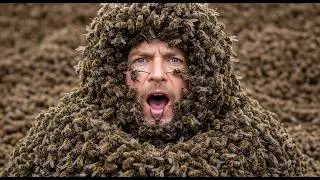 How to Climb Harvest Giant Bee Honey in the Deep Forest