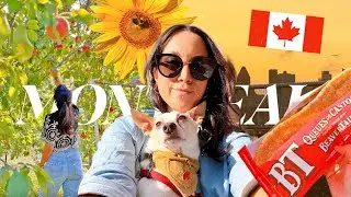 ABRINDO O CORAÇÃO... 💔 voltei pra terapia, shopping, cinema, fazenda de maçã, picnic com as amigas 🍎