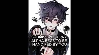 SUBMISSIVE FURRY ALPHA ASMR WATCH TILL THE END😱😱😱😱🐺 #alpha #anime #asmr #fyp #boyfriend