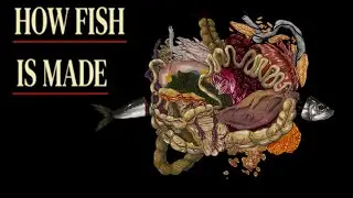 Verstehst du die düstere Metaphorik dieses Spiels? | How Fish Is Made