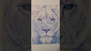 Beast with blue ball pen drawing #artshorts #pendrawing #pendrawings #wildlife