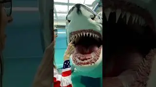 shocking animal transformation  💀
