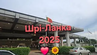Шрі-Ланка, Hikkaduwa. Мій перший раз на Шрі-Ланка в січні 2025 . Частина 2 .#шріланкадляукраїнців