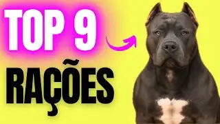 🏆 TOP 9 ra&ccedil;&otilde;es para PIT MONSTER! ✅S&oacute; as melhores!!