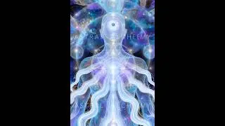 Eliminate Mucous-Frequency|Morphic Field 