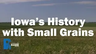 Iowa's History with Small Grains
