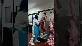 HIND QUARTER BEEF CARCASS BREAKDOWN | Detalyadong Pagbabaklas ng Karne para sa mga Butcher