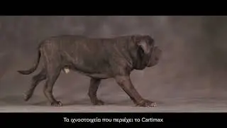 Cartimax MP Labo &Delta;&iota;&alpha;&phi;ή&mu;&iota;&sigma;&eta;