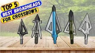 Best Broadheads for Crossbows 2025 &ndash; Recommended By An Expert!