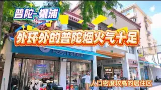 4K-普陀-桃浦 | 外环外普陀的烟火气 | 人口密度较高的居住区 | 上海居住 | 上海现状