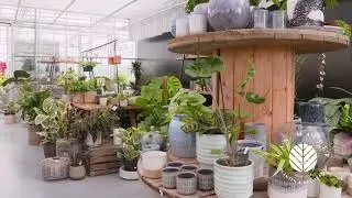 Plantencentrum Van Malder Dilbeek