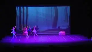 ROSA FOUNAUD BAILANDO NUNCA JAMÁS 2015