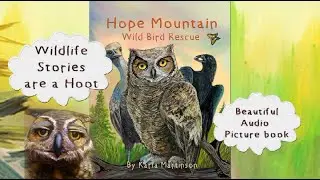 Audio picture book 