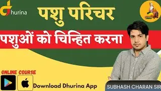 पशुओं को चिन्हित करना|Pashuo ko chinhit karna|| पशु परिचर By Subhash Charan#gksubhashcharan