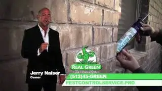 Real Green Pest Control Service and Pest Prevention Service - Austin, Texas