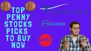 🔥Top penny stocks to buy NOW! AMC, TransEnterix TRXC, Novan NOVN | Huge week of stock gains🔥