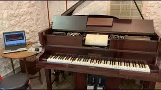 Pianola: Chickie (One step joué par Charley Straight - QRS 2685) Piano solo.