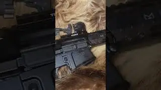 Fail Zero AR-10 BCG Fixed?