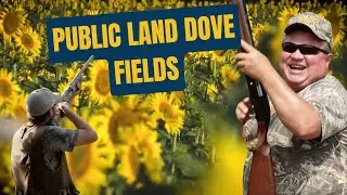 Public Land Dove Fields