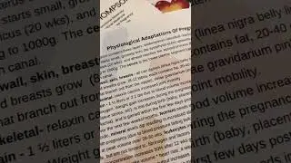 Pregnancy Adaptations Audio Notes 