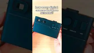 Digital cameras that have no screens