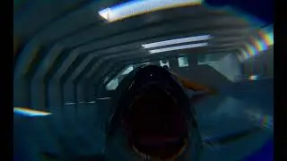 Nomf