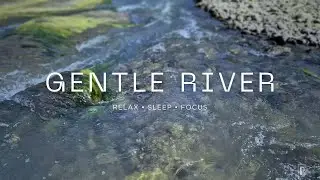 Calming Natural River Ambience | Gentle Water Flow for Deep Sleep & Relaxation