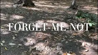 Forget-me-not - Red Roselle (Official Music Video)