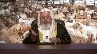 02 - الأضحية أحكام وآداب