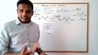 Malonic Ester Synthesis