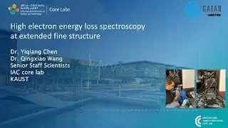 High electron energy loss spectroscopy at extended fine structure