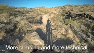 Javelina, Mormon Loop, National