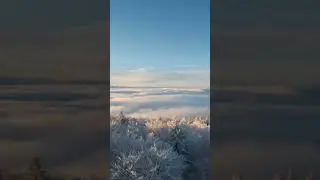 Calm and Peaceful Atmosphere ❄️ Full video on channel #calmmusic #peacefulmusic #naturemusicvideo