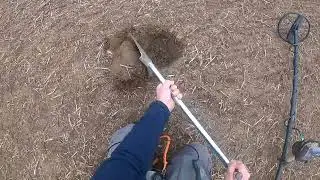 Nexus Standard MP V3 Finds Old Georgian Coin Amongst The Iron With 10' Inch KHZ coil
