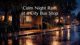 Calm Night Rain at a City Bus Stop | Deep Sleep & Stress Relief