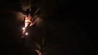 Potato Head Beachside Bar 
