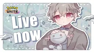 アプデ後まったり配信 -ソロラン編-