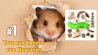 UNBOXING Hamster Toys and Treats🐹 Hamster Cute Videos| Kids and Pets #hamsters #kidsandpets