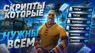 SCRIPTS EVERYONE NEEDS #2 on Arizona RP 🚀 BEST SCRIPTS FOR GTA SAMP